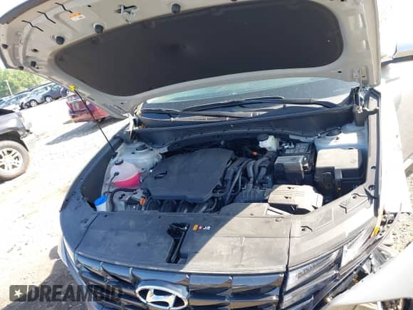 ✅ 2024 Hyundai Tucson SEL • VIN: 5NMJBCDE2RH334078 • Lot: 42563980. Listed on IAAI with 9,630 mi miles. Access the free auction sales archive from the USA and view a detailed vehicle history report at DreamBid. Image 10.