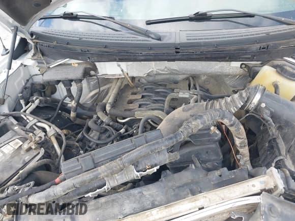 ✅ 2011 Ford F-150 XLT • VIN: 1FTFX1EF2BFC06767 • Lot: 43664706. Listed on IAAI with Not provided. Free auction sales archive from the USA and detailed vehicle history report at DreamBid. Image 10.