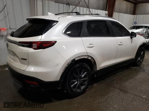 ✅ 2020 Mazda CX-9 Sport • VIN: JM3TCBBY7L0410292 • Lot: 42174323. Wystawiony na Copart z przebiegiem 15 043 mil. Bezpłatny archiwum sprzedaży aukcyjnych z USA i szczegółowy raport historii pojazdu na DreamBid. Zdjęcie 3.