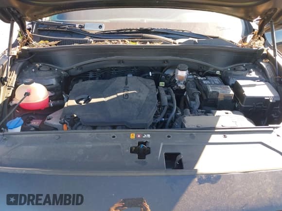 ✅ 2023 Hyundai Santa Fe SEL • VIN: 5NMS2DAJ0PH612162 • Lot: 43345308. Wystawiony na IAAI z przebiegiem 17 740 mil. Bezpłatny archiwum sprzedaży aukcyjnych z USA i szczegółowy raport historii pojazdu na DreamBid. Zdjęcie 10.