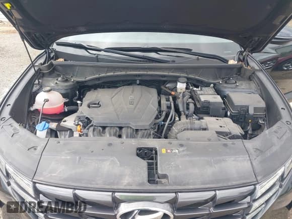 ✅ 2024 Hyundai Tucson SEL • VIN: 5NMJFCDE5RH348528 • Лот: 43522372. Опубликован ранее на IAAI с пробегом 23 557 миль. Бесплатный доступ к архиву аукционных продаж из США и подробный отчёт об истории автомобиля на DreamBid. Изображение 10.