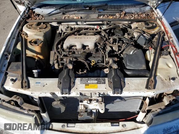 ✅ 1995 Buick Regal Custom • VIN: 2G4WB52M5S1425279 • Lot: 80939374. Listed on Copart with 151,906 mi. Free auction sales archive from the USA and detailed vehicle history report at DreamBid. Image 11.