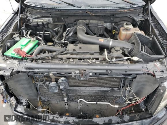 ✅ 2010 Ford F-150 • VIN: 1FTEW1CV0AFB54367 • Lot: 78797254. Listed on Copart with 220,357 mi. Free auction sales archive from the USA and detailed vehicle history report at DreamBid. Image 11.