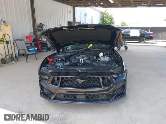 ✅ 2025 Ford Mustang GT • VIN: 1FA6P8CF7S5400976 • Lot: 42441842. Listed on IAAI with Not provided. Free auction sales archive from the USA and detailed vehicle history report at DreamBid. Image 11.