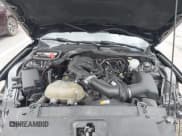 ✅ 2017 Ford Mustang V6 • VIN: 1FA6P8AM8H5280924 • Лот: 41938096. Опубликован ранее на IAAI с пробегом 167 622 миль. Бесплатный доступ к архиву аукционных продаж из США и подробный отчёт об истории автомобиля на DreamBid. Изображение 10.