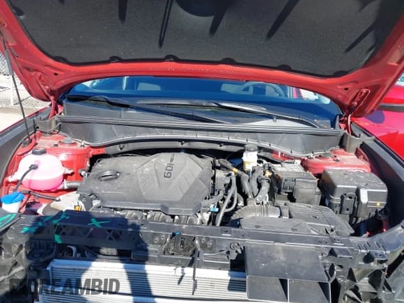 ✅ 2025 Hyundai Tucson SEL • VIN: 5NMJB3DE6SH563529 • Лот: 43606048. Опубликован ранее на IAAI с пробегом 8 431 миль. Бесплатный доступ к архиву аукционных продаж из США и подробный отчёт об истории автомобиля на DreamBid. Изображение 10.