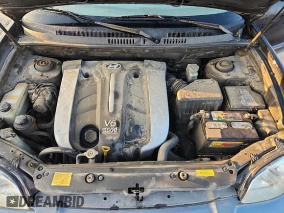 ✅ 2005 Hyundai Santa Fe GLS • VIN: KM8SC13E95U916944 • Lot: 90069825. Listed on Copart with 282,287 mi. Free auction sales archive from the USA and detailed vehicle history report at DreamBid. Image 11.