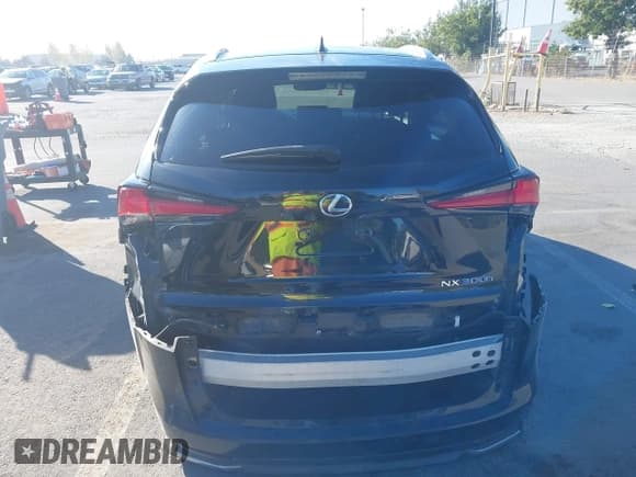 ✅ 2018 Lexus NX 300h • VIN: JTJBJRBZ8J2096257 • Lot: 43001978. Listed on IAAI with 121,925 mi. Free auction sales archive from the USA and detailed vehicle history report at DreamBid. Image 16.