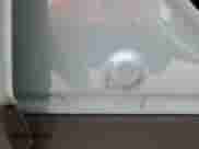 2023 Hyundai Santa Cruz SEL с VIN 5NTJCDAE8PH045456, выставлен на аукционе Copart как лот 78625484 с пробегом 26 404 миль миль и На запчасти • Non repairable. История ставок и продаж доступна на DreamBid. Изображение 12.