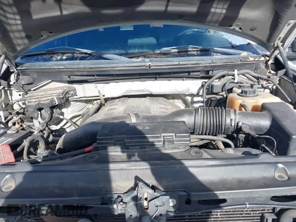 ✅ 2011 Ford F-150 XLT • VIN: 1FTFW1ET6BKD32002 • Lot: 43888036. Listed on IAAI with 319,698 mi. Free auction sales archive from the USA and detailed vehicle history report at DreamBid. Image 10.