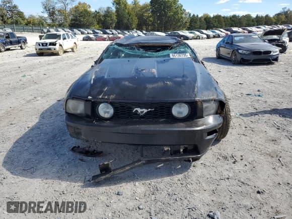 ✅ 2006 Ford Mustang GT Deluxe • VIN: 1ZVHT82H165142491 • Лот: 86136735. Опубликован ранее на Copart с пробегом 106 593 миль. Бесплатный доступ к архиву аукционных продаж из США и подробный отчёт об истории автомобиля на DreamBid. Изображение 5.