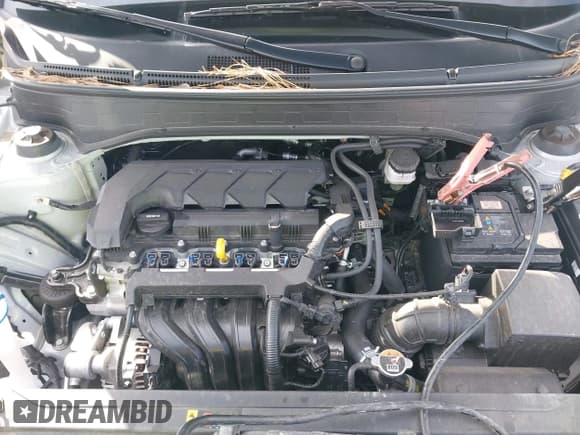 ✅ 2024 Hyundai Venue Essential • VIN: KMHRB8A35RU329657 • Lot: 41335200. Listed on IAAI with 11,622 mi. Free auction sales archive from the USA and detailed vehicle history report at DreamBid. Image 10.