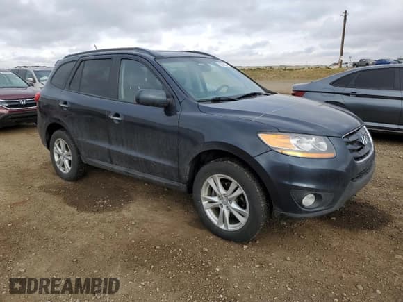 ✅ 2010 Hyundai Santa Fe SE • VIN: 5NMSHDAG2AH401992 • Lot: 77666204. Listed on Copart with 219,622 mi. Free auction sales archive from the USA and detailed vehicle history report at DreamBid. Image 4.