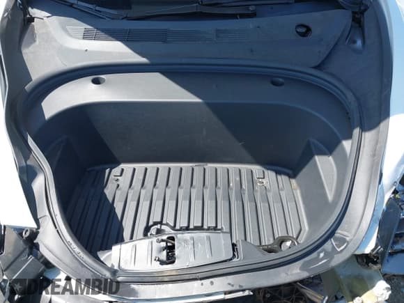 ✅ 2023 Tesla Model 3 • VIN: 5YJ3E1EA2PF571569 • Lot: 42288715. Wystawiony na IAAI z przebiegiem 30 271 mil. Bezpłatny archiwum sprzedaży aukcyjnych z USA i szczegółowy raport historii pojazdu na DreamBid. Zdjęcie 10.