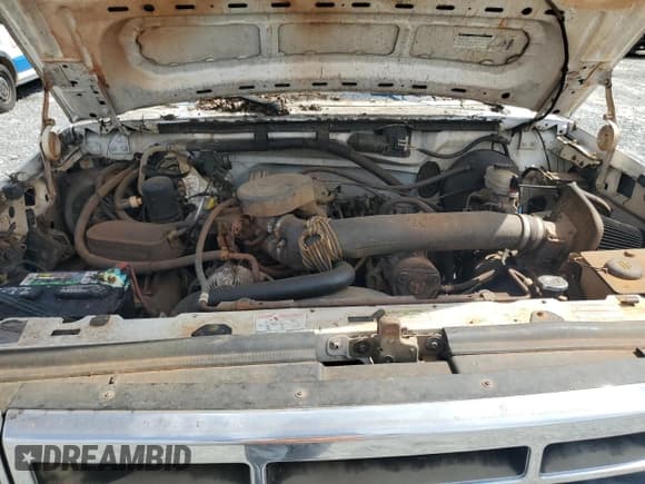 ✅ 1996 Ford F-150 • VIN: 1FTEX14H3TKA50259 • Lot: 61027725. Listed on Copart with Not provided. Free auction sales archive from the USA and detailed vehicle history report at DreamBid. Image 11.