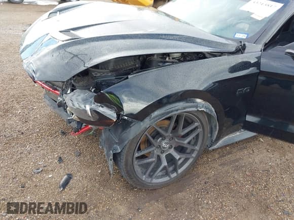 ✅ 2021 Ford Mustang GT • VIN: 1FA6P8CF7M5116461 • Lot: 43213817. Listed on IAAI with 103,210 mi. Free auction sales archive from the USA and detailed vehicle history report at DreamBid. Image 6.