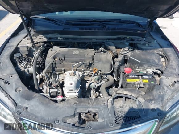 ✅ 2017 Acura TLX Technology • VIN: 19UUB1F55HA003844 • Lot: 43055133. Wystawiony na IAAI z przebiegiem 80 357 mil. Bezpłatny archiwum sprzedaży aukcyjnych z USA i szczegółowy raport historii pojazdu na DreamBid. Zdjęcie 10.