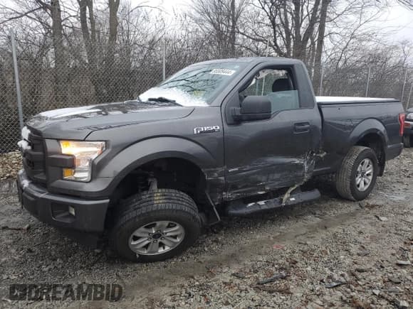 ✅ 2017 Ford F-150 XL • VIN: 1FTMF1CP0HFC86391 • Lot: 85509444. Wystawiony na Copart z przebiegiem 69 218 mil. Bezpłatny archiwum sprzedaży aukcyjnych z USA i szczegółowy raport historii pojazdu na DreamBid. Zdjęcie 1.