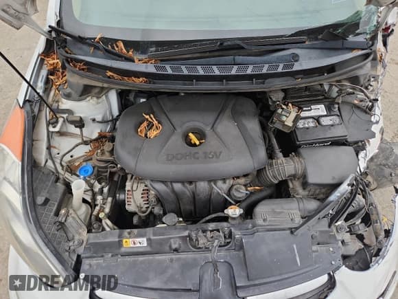 ✅ 2013 Hyundai Elantra GLS • VIN: 5NPDH4AE4DH237613 • Lot: 93264905. Listed on Copart with 201,278 mi. Free auction sales archive from the USA and detailed vehicle history report at DreamBid. Image 11.