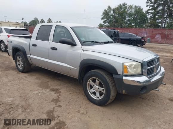 ✅ 2005 Dodge Dakota SLT • VIN: 1D7HW48N25S224512 • Lot: 43549718. Listed on IAAI with 205,160 mi. Free auction sales archive from the USA and detailed vehicle history report at DreamBid. Image 1.