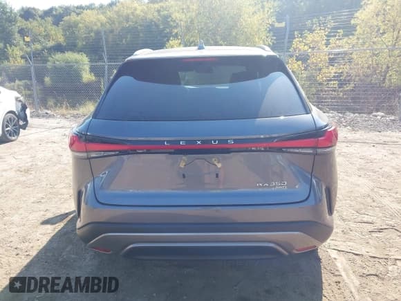 ✅ 2023 Lexus RX 350 F Sport • VIN: 2T2BAMCAXPC024822 • Lot: 43253717. Listed on IAAI with 19,200 mi. Free auction sales archive from the USA and detailed vehicle history report at DreamBid. Image 16.