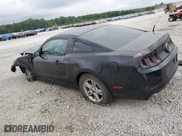 2014 Ford Mustang V6 с VIN 1ZVBP8AM8E5288250, выставлен на аукционе Copart как лот 67745805 с пробегом 135 403 миль миль и Списание • Salvage title. История ставок и продаж доступна на DreamBid. Изображение 2.