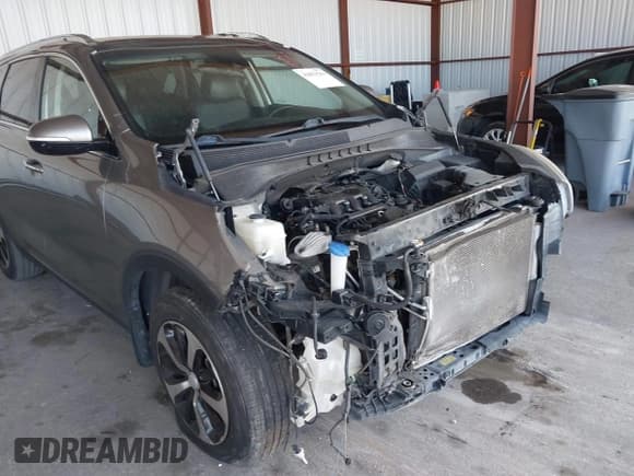 ✅ 2017 Kia Sorento EX • VIN: 5XYPH4A50HG302256 • Лот: 42853541. Опубликован ранее на IAAI с пробегом 123 529 миль. Бесплатный доступ к архиву аукционных продаж из США и подробный отчёт об истории автомобиля на DreamBid. Изображение 19.