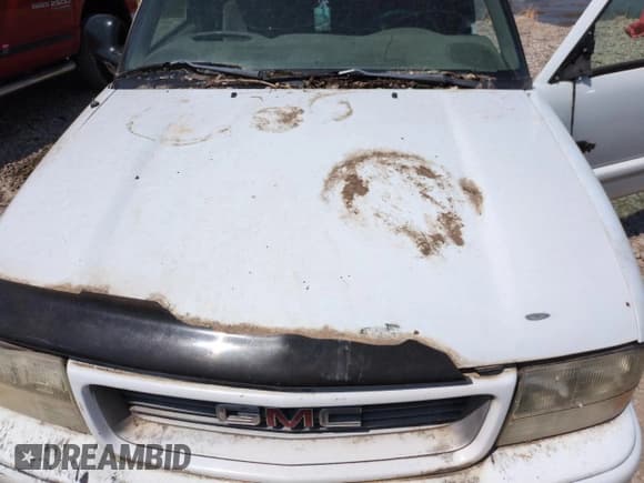 ✅ 1998 GMC Sonoma SLS • VIN: 1GTCS1942W8533805 • Lot: 60378985. Wystawiony na Copart z przebiegiem Nie podano. Bezpłatny archiwum sprzedaży aukcyjnych z USA i szczegółowy raport historii pojazdu na DreamBid. Zdjęcie 11.