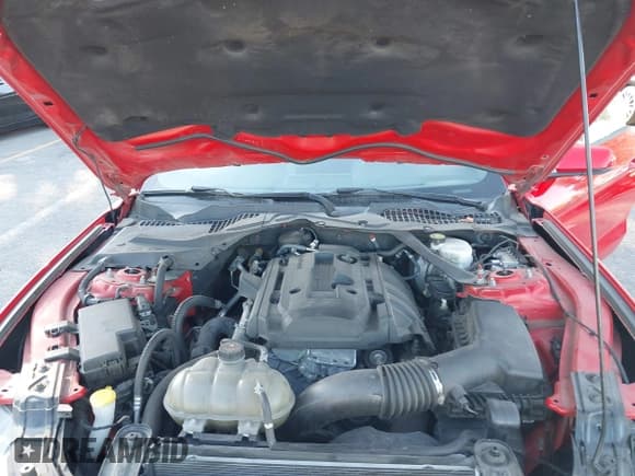 ✅ 2019 Ford Mustang EcoBoost Premium • VIN: 1FATP8UH8K5170934 • Lot: 43560507. Listed on IAAI with 111,094 mi. Free auction sales archive from the USA and detailed vehicle history report at DreamBid. Image 10.