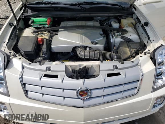 ✅ 2009 Cadillac SRX RWD • VIN: 1GYEE637490128882 • Lot: 54519245. Wystawiony na Copart z przebiegiem 50 171 mil. Bezpłatny archiwum sprzedaży aukcyjnych z USA i szczegółowy raport historii pojazdu na DreamBid. Zdjęcie 12.