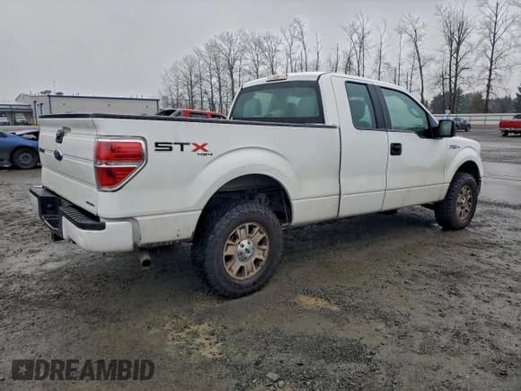 ✅ 2013 Ford F-150 XL • VIN: 1FTEX1EM0DKE12383 • Lot: 95267645. Wystawiony na Copart z przebiegiem 212 171 mil. Bezpłatny archiwum sprzedaży aukcyjnych z USA i szczegółowy raport historii pojazdu na DreamBid. Zdjęcie 3.