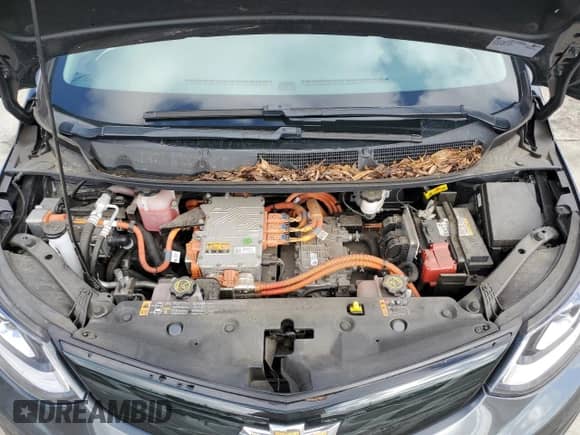 2019 Chevrolet Bolt EV Premier z VIN 1G1FZ6S07K4121158, wystawiony jako Copart lot #42055794 z przebiegiem 37 811 mil mil oraz . Historia ofert i sprzedaży dostępna na DreamBid. Obrazek 11.