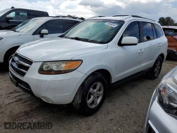 2007 Hyundai Santa Fe GLS with VIN 5NMSG13D07H082430, listed as a Copart auction lot 73949014 with Not provided miles and Salvage title. Bid and sale history available at DreamBid. Image 1.