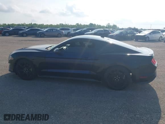✅ 2020 Ford Mustang EcoBoost Premium • VIN: 1FA6P8TH5L5177999 • Lot: 41894483. Wystawiony na IAAI z przebiegiem 74 158 mil. Bezpłatny archiwum sprzedaży aukcyjnych z USA i szczegółowy raport historii pojazdu na DreamBid. Zdjęcie 14.