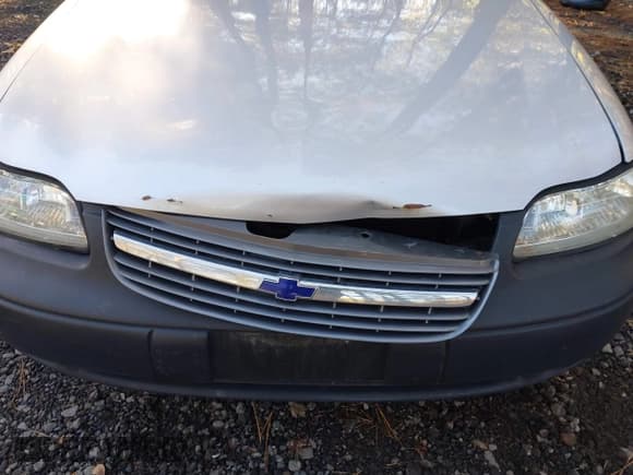 ✅ 2002 Chevrolet Malibu • VIN: 1G1ND52J72M718209 • Lot: 43550014. Listed on IAAI with 99,204 mi. Free auction sales archive from the USA and detailed vehicle history report at DreamBid. Image 6.