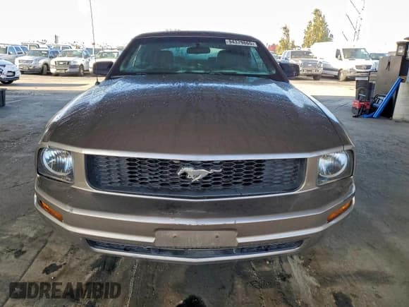 ✅ 2008 Ford Mustang Deluxe • VIN: 1ZVHT84N585150793 • Лот: 94379865. Опубликован ранее на Copart с пробегом 182 514 миль. Бесплатный доступ к архиву аукционных продаж из США и подробный отчёт об истории автомобиля на DreamBid. Изображение 5.