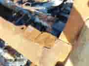 ✅ 2021 Chevrolet Colorado 2WD LT • VIN: 1GCHSCEA6M1247104 • Лот: 42821738. Опубликован ранее на IAAI с пробегом Не указан. Бесплатный доступ к архиву аукционных продаж из США и подробный отчёт об истории автомобиля на DreamBid. Изображение 9.