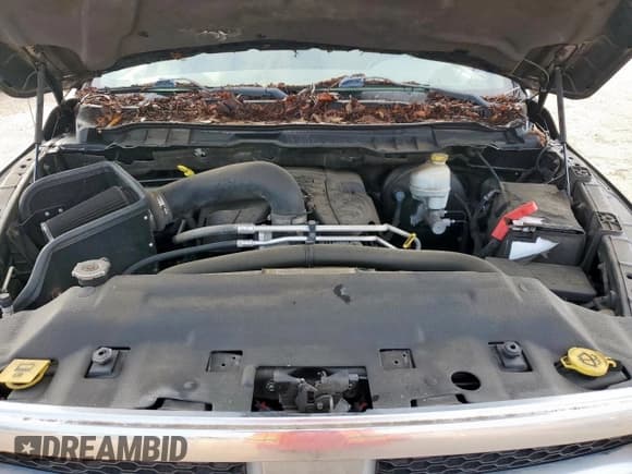 ✅ 2010 Dodge 1500 SLT • VIN: 1D7RB1CT2AS185239 • Lot: 60758705. Wystawiony na Copart z przebiegiem 133 743 mil. Bezpłatny archiwum sprzedaży aukcyjnych z USA i szczegółowy raport historii pojazdu na DreamBid. Zdjęcie 11.