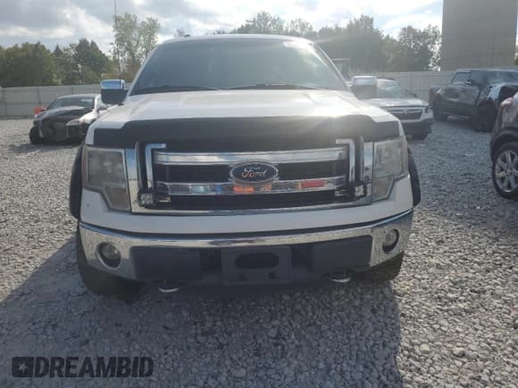 ✅ 2014 Ford F-150 XL • VIN: 1FTEX1EM2EFC11059 • Lot: 82229055. Wystawiony na Copart z przebiegiem 235 488 mil. Bezpłatny archiwum sprzedaży aukcyjnych z USA i szczegółowy raport historii pojazdu na DreamBid. Zdjęcie 5.