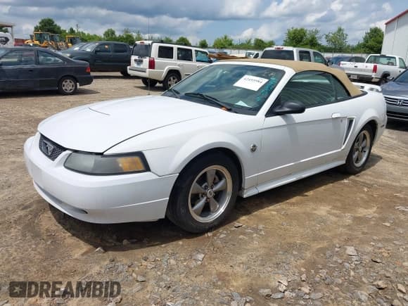 ✅ 2004 Ford Mustang Deluxe • VIN: 1FAFP44644F193077 • Lot: 42455984. Listed on IAAI with 138,265 mi. Free auction sales archive from the USA and detailed vehicle history report at DreamBid. Image 2.
