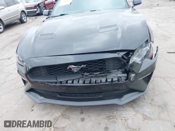 ✅ 2019 Ford Mustang EcoBoost Premium • VIN: 1FA6P8TH3K5203868 • Лот: 43414297. Опубликован ранее на IAAI с пробегом 69 117 миль. Бесплатный доступ к архиву аукционных продаж из США и подробный отчёт об истории автомобиля на DreamBid. Изображение 12.