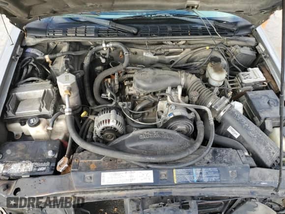 2004 Chevrolet Blazer LS z VIN 1GNDT13X54K134480, wystawiony jako Copart lot #82024914 z przebiegiem 219 210 mil mil oraz Szkoda całkowita • Salvage title. Historia ofert i sprzedaży dostępna na DreamBid. Obrazek 12.