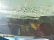 1995 Chevrolet Blazer с VIN 1GNCS13W7SK206038, выставлен на аукционе Copart как лот 76593134 с пробегом 135 008 миль миль и Списание • Salvage title. История ставок и продаж доступна на DreamBid. Изображение 14.