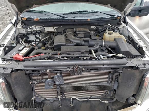 ✅ 2010 Ford F-150 XL • VIN: 1FTFW1EV3AFC07306 • Lot: 94378415. Listed on Copart with 114,018 mi. Free auction sales archive from the USA and detailed vehicle history report at DreamBid. Image 11.