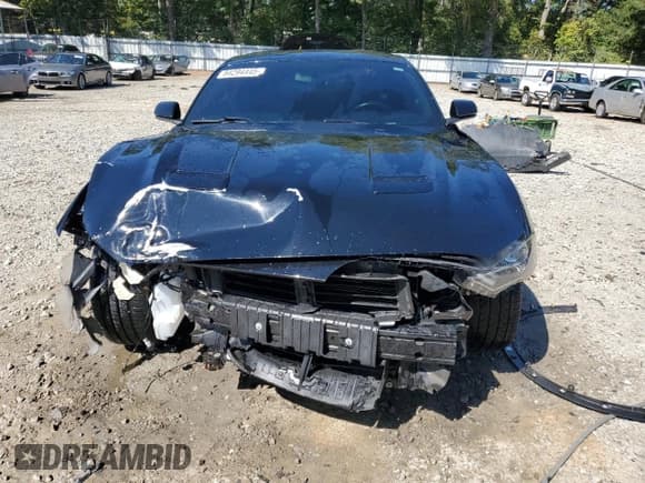 ✅ 2019 Ford Mustang EcoBoost • VIN: 1FA6P8THXK5184381 • Lot: 84294445. Listed on Copart with 120,256 mi. Free auction sales archive from the USA and detailed vehicle history report at DreamBid. Image 5.