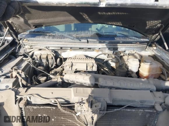 ✅ 2008 Ford F-150 XLT • VIN: 1FTPW145X8FA75211 • Lot: 41688354. Wystawiony na IAAI z przebiegiem Nie podano. Bezpłatny archiwum sprzedaży aukcyjnych z USA i szczegółowy raport historii pojazdu na DreamBid. Zdjęcie 10.