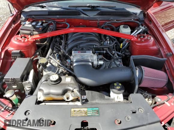 ✅ 2008 Ford Mustang GT Deluxe • VIN: 1ZVHT82H185189443 • Lot: 54793485. Listed on Copart with 28,582 mi. Free auction sales archive from the USA and detailed vehicle history report at DreamBid. Image 11.