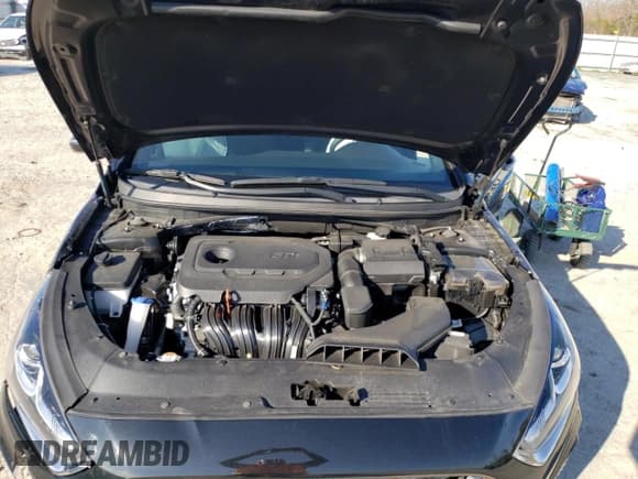 ✅ 2019 Hyundai Sonata SEL • VIN: 5NPE34AFXKH801483 • Lot: 69134222. Listed on Copart with 33,707 mi. Free auction sales archive from the USA and detailed vehicle history report at DreamBid. Image 11.