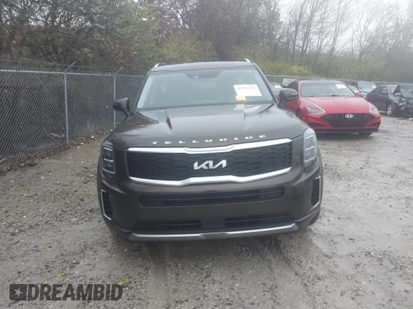 ✅ 2022 Kia Telluride EX • VIN: 5XYP3DHCXNG230576 • Lot: 43750336. Wystawiony na IAAI z przebiegiem 62 343 mil. Bezpłatny archiwum sprzedaży aukcyjnych z USA i szczegółowy raport historii pojazdu na DreamBid. Zdjęcie 12.