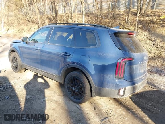 ✅ 2023 Kia Telluride EX X-Line • VIN: 5XYP3DGC0PG377283 • Lot: 41757724. Wystawiony na IAAI z przebiegiem 47 615 mil. Bezpłatny archiwum sprzedaży aukcyjnych z USA i szczegółowy raport historii pojazdu na DreamBid. Zdjęcie 3.
